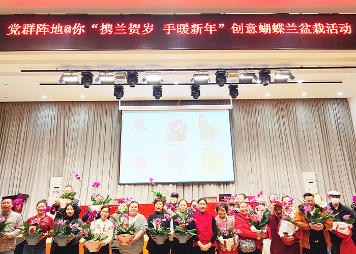 兰韵贺岁暖人心    创意盆栽绘新年